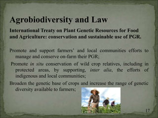 Agrobiodiversity, farmers´rights and agroforestry