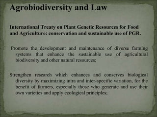 Agrobiodiversity, farmers´rights and agroforestry