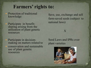 Agrobiodiversity, farmers´rights and agroforestry