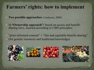 Agrobiodiversity, farmers´rights and agroforestry