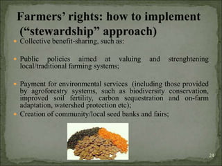 Agrobiodiversity, farmers´rights and agroforestry