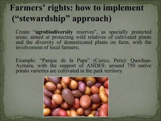 Agrobiodiversity, farmers´rights and agroforestry
