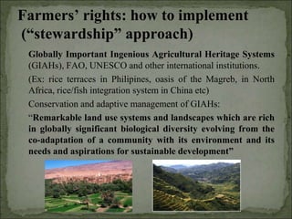 Agrobiodiversity, farmers´rights and agroforestry