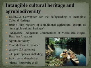 Agrobiodiversity, farmers´rights and agroforestry