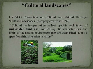 Agrobiodiversity, farmers´rights and agroforestry