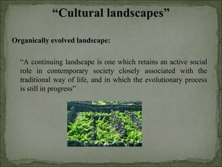 Agrobiodiversity, farmers´rights and agroforestry