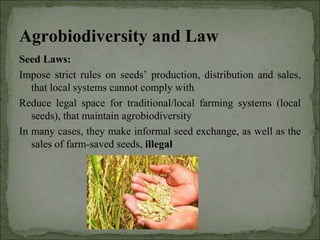 Agrobiodiversity, farmers´rights and agroforestry