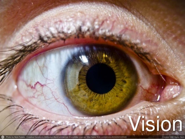constricted eye pupils constricted eye pupils