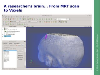 ©2013,MarkusNeteler,Italy–CC-BY-SAlicense
A researcher's brain... From MRT scan
to Voxels
 