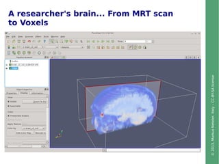 ©2013,MarkusNeteler,Italy–CC-BY-SAlicense
A researcher's brain... From MRT scan
to Voxels
 