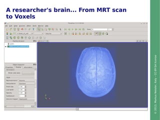 ©2013,MarkusNeteler,Italy–CC-BY-SAlicense
A researcher's brain... From MRT scan
to Voxels
 