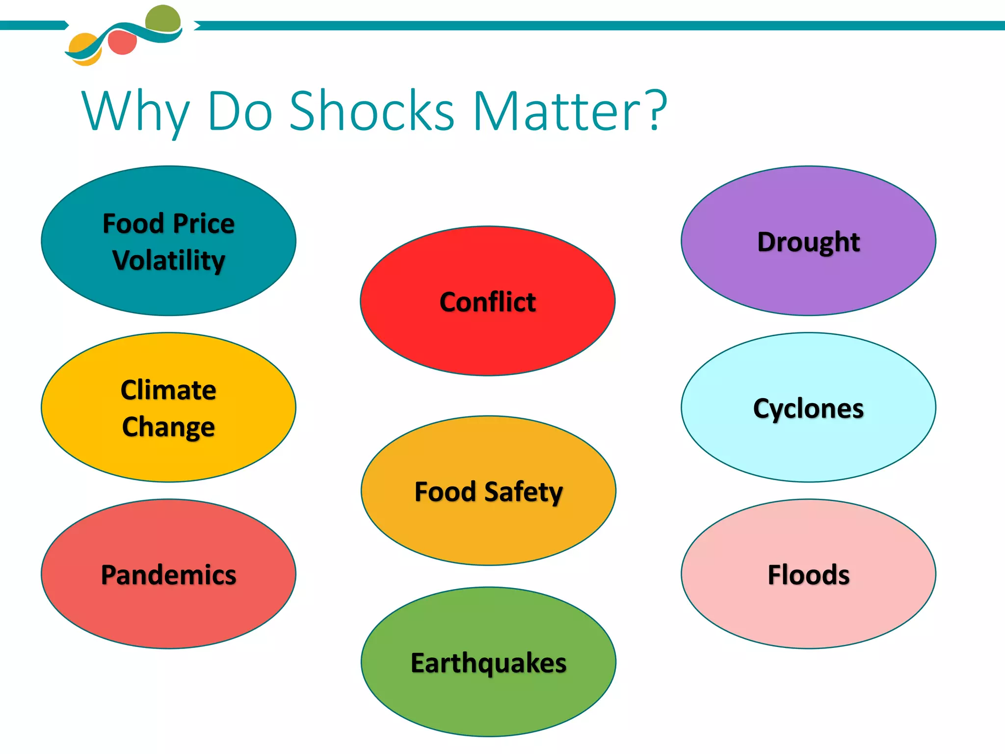 Why Do Shocks Matter?
Food Price
Volatility
Earthquakes
Climate
Change
Cyclones
Floods
Food Safety
Conflict
Pandemics
Drought