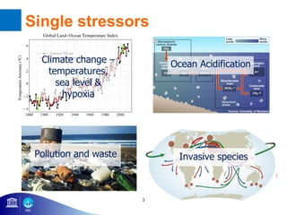 3
Invasive speciesPollution and waste
Climate change –
temperatures,
sea level &
hypoxia
Ocean Acidification
Single stress...