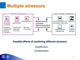 4
Possible effects of combining different stressors:
Amplification
Compensation
Multiple stressors
 