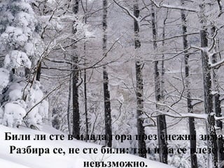 Били ли сте в млада гора през снежна зима?
 Разбира се, не сте били: там и да се влезе е
                невъзможно.
 