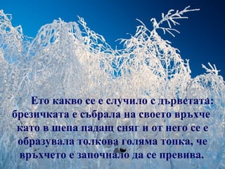 Ето какво се е случило с дърветата:
брезичката е събрала на своето връхче
 като в шепа падащ сняг и от него се е
 образувала толкова голяма топка, че
 връхчето е започнало да се превива.
 