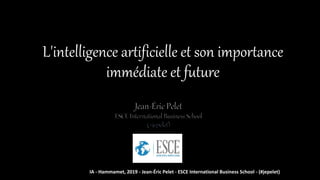 L'intelligence artificielle et son importance
immédiate et future
IA - Hammamet, 2019 - Jean-Éric Pelet - ESCE International Business School - (#jepelet)
 