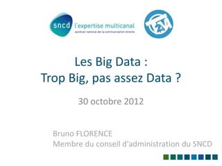 Les Big Data :
Trop Big, pas assez Data ?
        30 octobre 2012


  Bruno FLORENCE
  Membre du conseil d'administration du SNCD
 