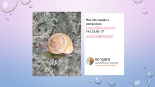 Más información e
inscripciones:
norgara@norgara.com
945.35.86.17
www.norgara.com
norgara
acompañamos tu desarrollo
zure garapenean bidelagun
 