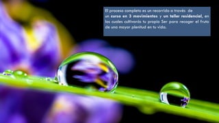 El proceso completo es un recorrido a través de
un curso en 3 movimientos y un taller residencial, en
los cuales cultivarás tu propio Ser para recoger el fruto
de una mayor plenitud en tu vida.
 