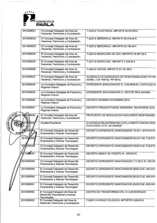 Pleno 21 enero-2013 2ª parte