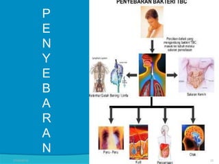 P
E
N
Y
E
B
A
R
A
N
27/03/2016 20
 