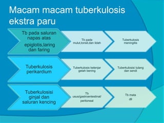 Macam macam tuberkulosis
ekstra paru
Tb pada saluran
napas atas
epiglotis,laring
dan faring
Tb pada
mulut,tonsil,dan lidah
Tuberkulosis
meningitis
Tuberkulosis
perikardium
Tuberkulosis kelenjar
getah bening
Tuberkulosisi tulang
dan sendi
Tuberkulosisi
ginjal dan
saluran kencing
Tb
usus/gastroentestinal/
peritoneal
Tb mata
dll
 