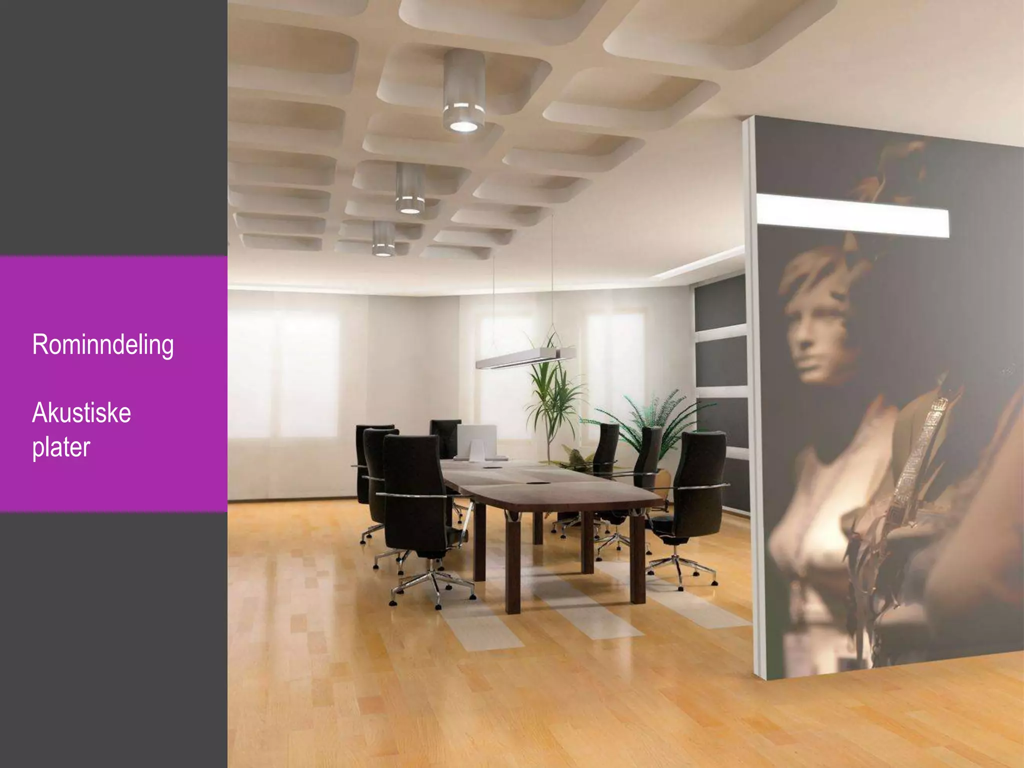 Rominndeling

Akustiske
plater
 