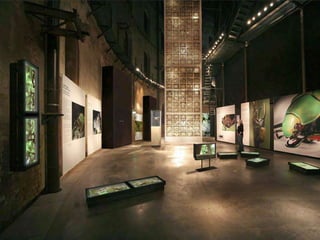 Plenum print frame presentasjon