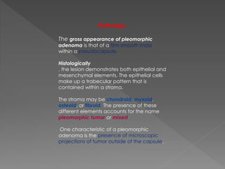 Pathology.
The gross appearance of pleomorphic
adenoma is that of a firm smooth mass
within a pseudocapsule.
Histologically
, the lesion demonstrates both epithelial and
mesenchymal elements. The epithelial cells
make up a trabecular pattern that is
contained within a stroma.
The stroma may be chondroid, myxoid,
osteoid, or fibroid. The presence of these
different elements accounts for the name
pleomorphic tumor or mixed
One characteristic of a pleomorphic
adenoma is the presence of microscopic
projections of tumor outside of the capsule.
 