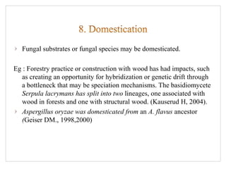 Fungal substrates or fungal species may be domesticated.
Eg : Forestry practice or construction with wood has had impacts, such
as creating an opportunity for hybridization or genetic drift through
a bottleneck that may be speciation mechanisms. The basidiomycete
Serpula lacrymans has split into two lineages, one associated with
wood in forests and one with structural wood. (Kauserud H, 2004).
Aspergillus oryzae was domesticated from an A. flavus ancestor
(Geiser DM., 1998,2000)
 