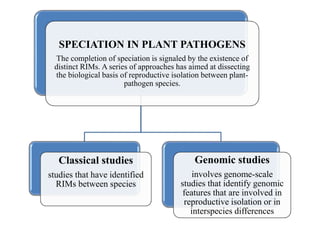 SPECIATION IN PLANT PATHOGENS
The completion of speciation is signaled by the existence of
distinct RIMs. A series of approaches has aimed at dissecting
the biological basis of reproductive isolation between plant-
pathogen species.
Classical studies
studies that have identified
RIMs between species
Genomic studies
involves genome-scale
studies that identify genomic
features that are involved in
reproductive isolation or in
interspecies differences
 