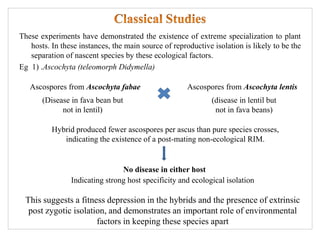 These experiments have demonstrated the existence of extreme specialization to plant
hosts. In these instances, the main source of reproductive isolation is likely to be the
separation of nascent species by these ecological factors.
Eg 1) .Ascochyta (teleomorph Didymella)
Ascospores from Ascochyta fabae Ascospores from Ascochyta lentis
(disease in lentil but
not in fava beans)
(Disease in fava bean but
not in lentil)
Indicating strong host specificity and ecological isolation
This suggests a fitness depression in the hybrids and the presence of extrinsic
post zygotic isolation, and demonstrates an important role of environmental
factors in keeping these species apart
Hybrid produced fewer ascospores per ascus than pure species crosses,
indicating the existence of a post-mating non-ecological RIM.
No disease in either host
 