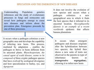 Understanding Population genetics
inferences and the study of evolutionary
processes in fungi and oomycetes can
reveal how pathogens emerge to cause
new diseases and inform about the
prevention plan. Emergence proceeds by
one of three processes.
It does not involve the evolution of
new species and occurs when a
pathogen colonizes a new
geographical area in which it finds
the host species that it infected in its
ancestral location. Mycosphaerella
fijiensis is an example of a recent
worldwide epidemic that affects
banana plantations
It occurs when a pathogen colonizes a new
geographic area and develops the capability
of infecting new hosts. This process,
mediated by adaptation , enables the
pathogen to thrive in hosts different from
its ancestral plants. Rhynchosporium, the
causal agent of scald disease, seems to be
composed of three cryptic pathogen species
that have evolved by ecological divergence
and host specialization to barley, rye, and
Agropyron
It occurs when emergent
pathogens and diseases originate
after the hybridization between
two species; the hybrid then
shows a new suite of traits not
observed in the parents (a type of
inheritance known as
transgressive segregation),
allowing it to infect new hosts
 