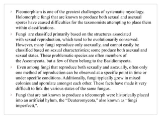 Pleomorphism is one of the greatest challenges of systematic mycology.
Holomorphic fungi that are known to produce both sexual and asexual
spores have caused difficulties for the taxonomists attempting to place them
within classifications.
Fungi are classified primarily based on the structures associated
with sexual reproduction, which tend to be evolutionarily conserved.
However, many fungi reproduce only asexually, and cannot easily be
classified based on sexual characteristics; some produce both asexual and
sexual states. These problematic species are often members of
the Ascomycota, but a few of them belong to the Basidiomycota.
Even among fungi that reproduce both sexually and asexually, often only
one method of reproduction can be observed at a specific point in time or
under specific conditions. Additionally, fungi typically grow in mixed
colonies and sporulate amongst each other. These facts have made it very
difficult to link the various states of the same fungus.
Fungi that are not known to produce a teleomorph were historically placed
into an artificial hylum, the “Deuteromycota," also known as “fungi
imperfecti,".
 