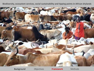 Biodiversity, ecosystem services, social sustainability and tipping points in African drylands