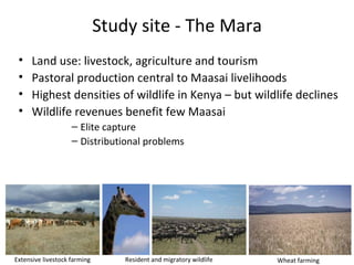Conservation, livelihoods and privatised land: Wildlife conservancies in the Mara, Kenya