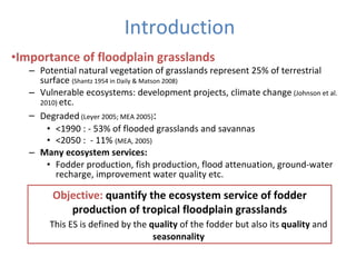 Ecosystem services of floodplain grasslands: Defining fodder production  in the Tana delta