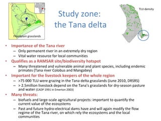 Ecosystem services of floodplain grasslands: Defining fodder production  in the Tana delta