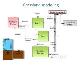 Ecosystem services of floodplain grasslands: Defining fodder production  in the Tana delta