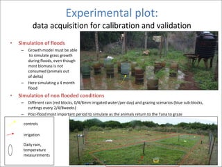 Ecosystem services of floodplain grasslands: Defining fodder production  in the Tana delta