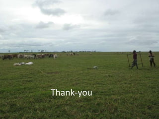 Ecosystem services of floodplain grasslands: Defining fodder production  in the Tana delta