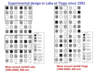 Spatial modeling the impact of livestock grazing, fire management and wood cutting on the structure of savana woodland vegetation