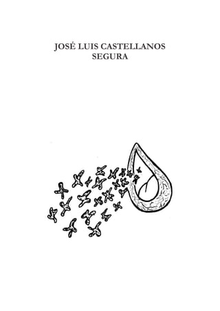 JOSÉ LUIS CASTELLANOS
SEGURA
 