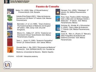 “Curso de Anatomía Humana:
 carrera de Médico Cirujano”


                                     Fuentes de Consulta
        Netter, F.H. (2000) “Atlas of Clinical Anatomy”.         Geneser, Finn. (2000). “HIistología”. 3ª
           Primera edición. Edit. Novartis                       edición. Ed. Médica Panamericana,
                                                                 México.
         Sobota (Putz-Pabst) (2001). “Atlas de Anatomia          Ross, Kaye, Pawlina (2005) “Histología,
         Humana con CD Room” 21ª edición, Edit. Medica           texto y atlas color con Biología Celular y
         Panamericana                                            Molecular”. 5ª edición, Edit. Médica
                                                                 Panamericana, México.
          Bannister, L.H. et al. (1999). “Gray’s Anatomy:
          The Anatomical Basis of Medicine and Surgery”          Schünke, M., Schulte, M. y Schumacher,
          38ª editión, 1995, reimpr. Edit. Churchill             U. (2005). “Texto y Atlas de Anatomía”.
          livingstone.                                           1ª. Edición. Edit. Médica Panamericana,
                                                                 México.
          Moore, K.L., Dalley, A.F.. (2010). “Anatomía con       Uusá, M., Meri, A. y Ruano, D. “Manual y
          Orientación Clínica” Sexta Edición. Edit. Médica       Atlas Fotográfico de Anatomía del
          Panamericana, España.                                  Sistema Locomotor.” Edit. Médica
         Testu, L., Jacob, O. (1990). “Anatomía Topográfica”     Panamericana
         Tomos I yII. Octava Edición, Edit. Salvat, México.


         Gonzalo Sánz, L..Ma. (2001) “DIccionario de Medicina”
         Primera Ed., Edit. ESPASA CALPE, S.A. Facultad de
         Medicina, Universidad de Navarra., Madrid, España.

         A.D.A.M. Interactive anatomy.




                                                                                                              30
 