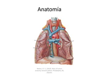 Anatomía
Netter, F. H. 1. (2019). Atlas of human
anatomy. Seventh edition. Philadelphia, PA,
Elsevier.
 