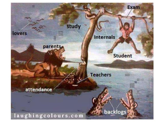 Pleura & its recesses
Dr. S.S.Rajasekar
Head of the department
Anatomy
 