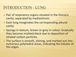 INTRODUCTION - LUNG
 Pair of respiratory organs situated in the thoracic
cavity; separated by mediastinum.
 Each lung invaginates the corresponding pleural
cavity.
 Spongy in texture, brown or grey in colour. Gradually
they become mottled black due to deposition of
inhaled carbon particles.
 The surface is smooth, shining, and marked out into
numerous polyhedral areas, indicating the lobules of
the organ.
 