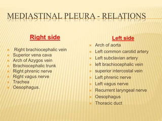 MEDIASTINAL PLEURA - RELATIONS
Right side
 Right brachiocephalic vein
 Superior vena cava
 Arch of Azygos vein
 Brachiocephalic trunk
 Right phrenic nerve
 Right vagus nerve
 Trachea
 Oesophagus.
Left side
 Arch of aorta
 Left common carotid artery
 Left subclavian artery
 left brachiocephalic vein
 superior intercostal vein
 Left phrenic nerve
 Left vagus nerve
 Recurrent laryngeal nerve
 Oesophagus
 Thoracic duct
 