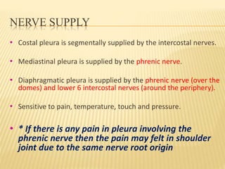 NERVE SUPPLY
• Costal pleura is segmentally supplied by the intercostal nerves.
• Mediastinal pleura is supplied by the phrenic nerve.
• Diaphragmatic pleura is supplied by the phrenic nerve (over the
domes) and lower 6 intercostal nerves (around the periphery).
• Sensitive to pain, temperature, touch and pressure.
• * If there is any pain in pleura involving the
phrenic nerve then the pain may felt in shoulder
joint due to the same nerve root origin
 